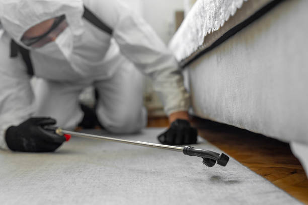 Professional Bed Bug Control technician working in White County County, IN